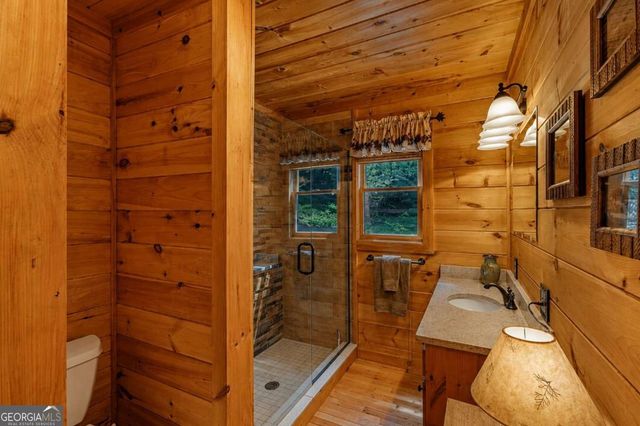 801 Davenport Mountain Road, Blue Ridge, GA 30513