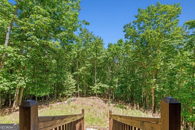 801 Davenport Mountain Road, Blue Ridge, GA 30513