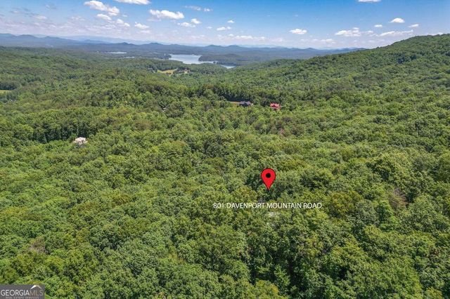 801 Davenport Mountain Road, Blue Ridge, GA 30513