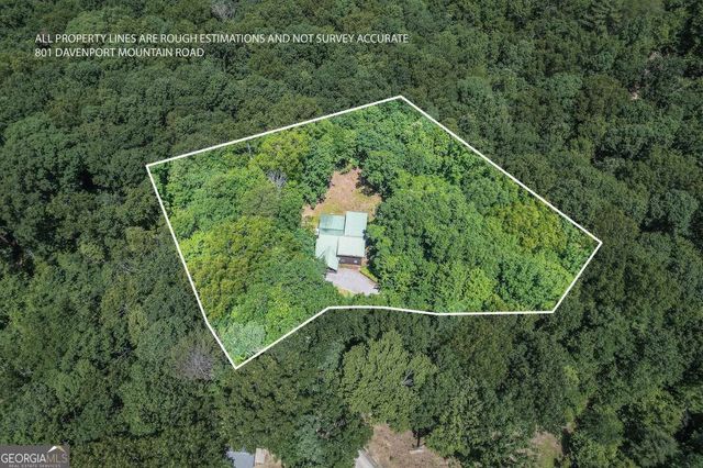 801 Davenport Mountain Road, Blue Ridge, GA 30513