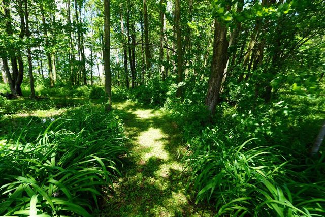 W1364 STATE HIGHWAY 64, Medford, WI 54451