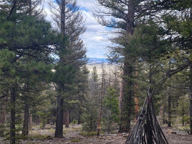 94 Pullman Loop, Hartsel, CO 80449