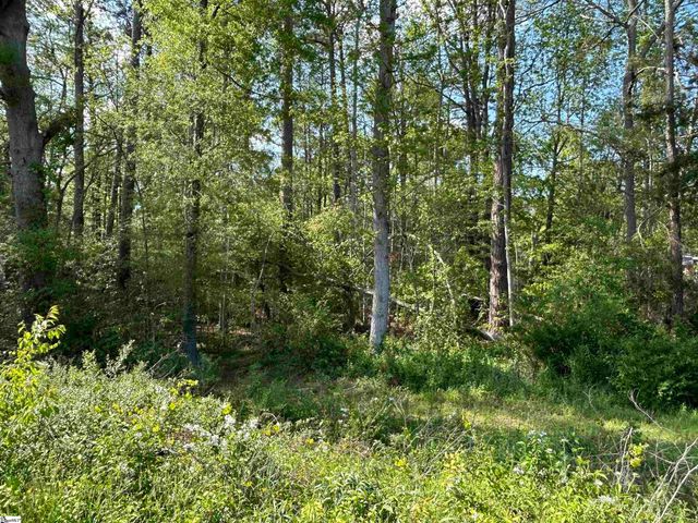 00 Woodland Drive, Clinton, SC 29325