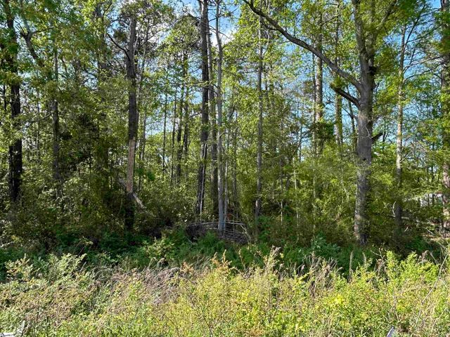 00 Woodland Drive, Clinton, SC 29325