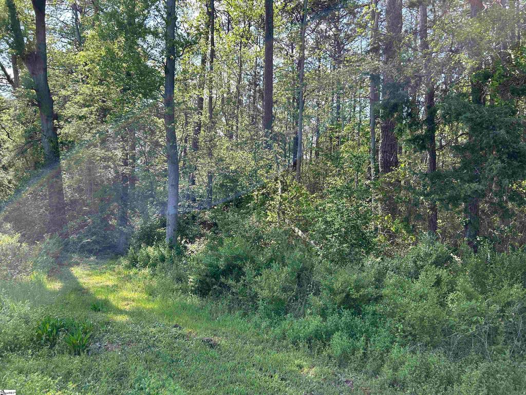 00 Woodland Drive, Clinton, SC 29325