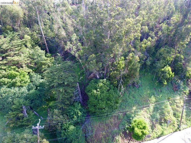 Scout Rd, Oakland, CA 94611