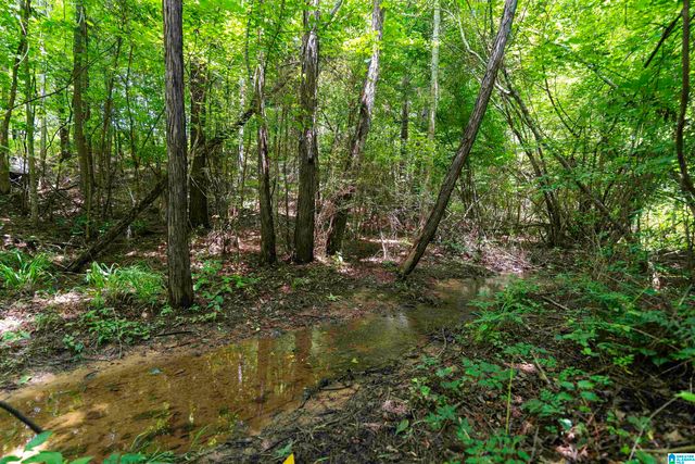 309 FOX VALLEY HIGHLANDS CIRCLE, Alabaster, AL 35007