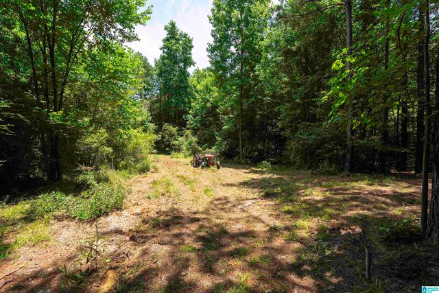 309 FOX VALLEY HIGHLANDS CIRCLE, Alabaster, AL 35007