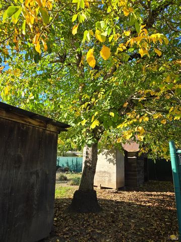 454 Della Ave, Willits, CA 95490