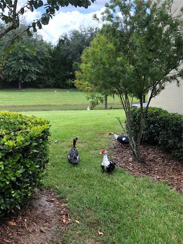 1548 PURPLE PLUM LANE, Oviedo, FL 32765