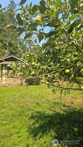 14342 Brandie Court SE, Yelm, WA 98597
