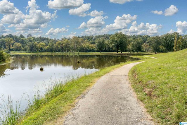1595 CHACE TERRACE, Hoover, AL 35244