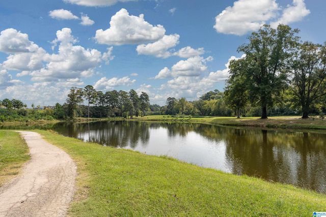 1595 CHACE TERRACE, Hoover, AL 35244