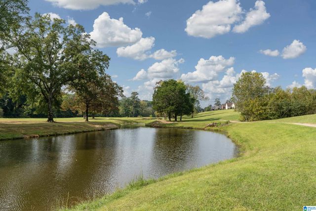1595 CHACE TERRACE, Hoover, AL 35244