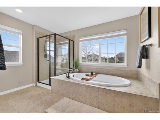 2565 Red Hawk Ridge Dr, Castle Rock, CO 80109