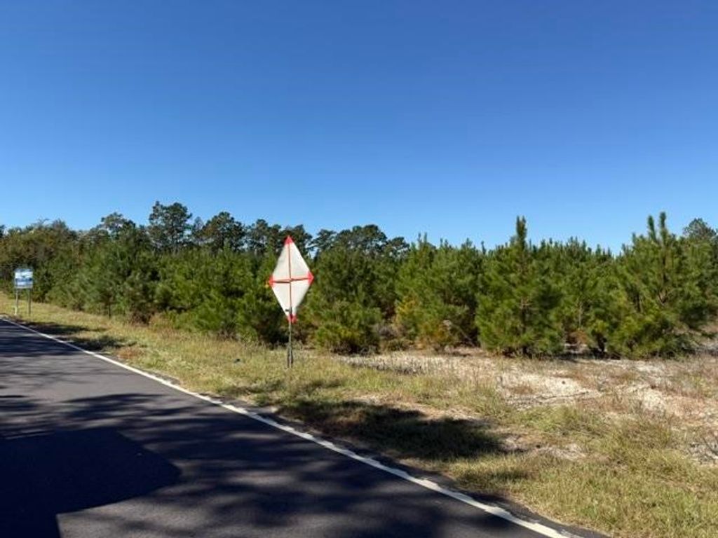 5.0 Acs Old Pee Dee Rd., Georgetown, SC 29440 — exterior