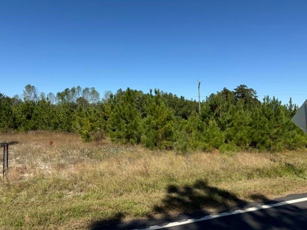 5.0 Acs Old Pee Dee Rd., Georgetown, SC 29440 — photo 2