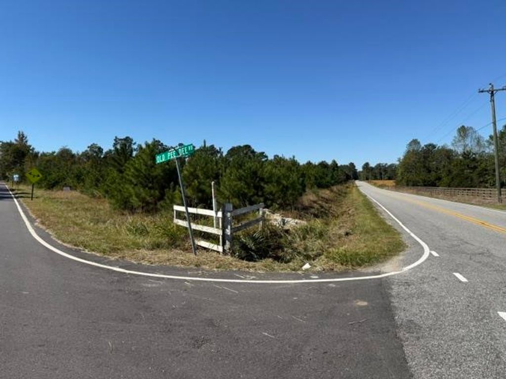 5.0 Acs Old Pee Dee Rd., Georgetown, SC 29440 — photo 3
