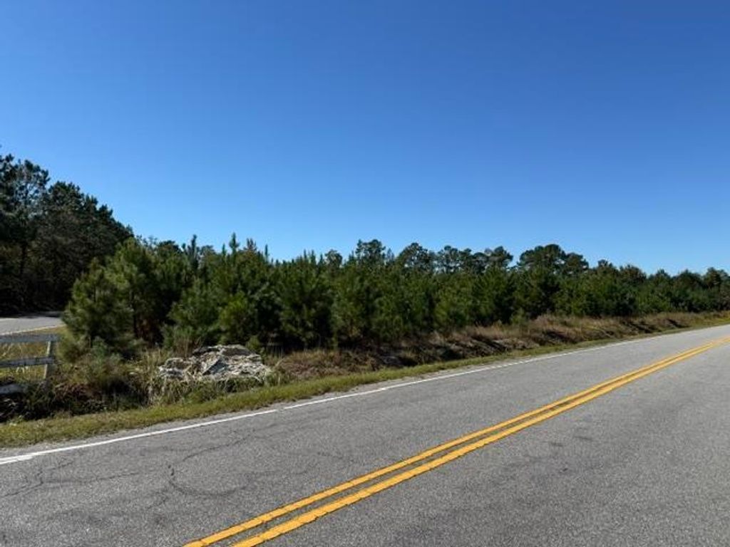 5.0 Acs Old Pee Dee Rd., Georgetown, SC 29440 — photo 4