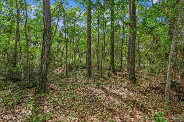 Pandora Dr, Milton, FL 32583