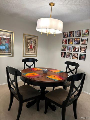 572 Coeur de Royale 103, Creve Coeur, MO 63141