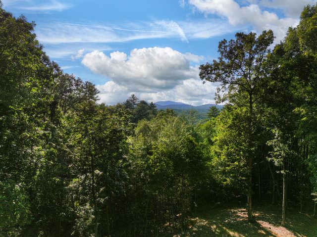 16 Mid Mountain Road, Mineral Bluff, GA 30559