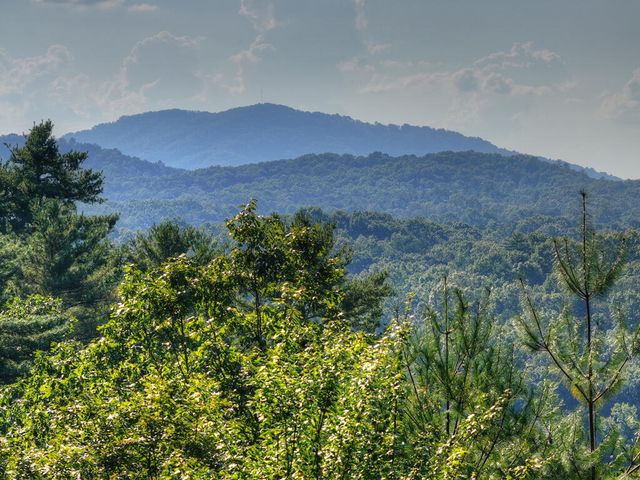 16 Mid Mountain Road, Mineral Bluff, GA 30559
