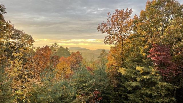 16 Mid Mountain Road, Mineral Bluff, GA 30559