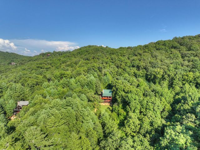 16 Mid Mountain Road, Mineral Bluff, GA 30559