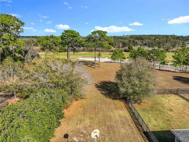 33411 TERRAGONA DRIVE, Sorrento, FL 32776