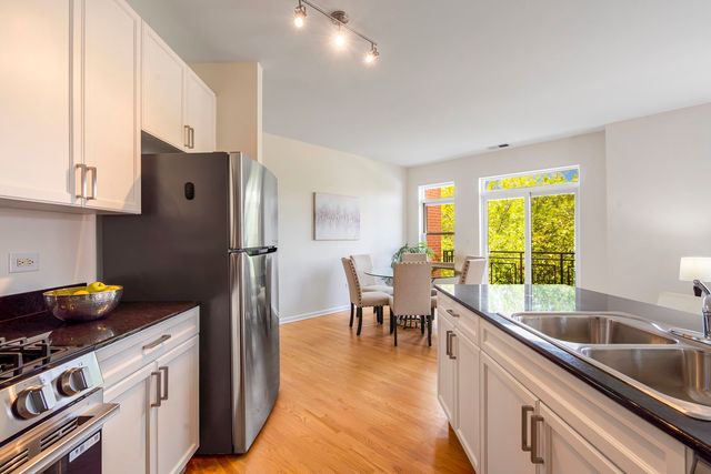 1451 S Halsted Street 3B, Chicago, IL 60607