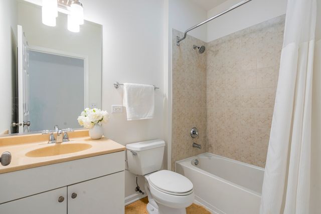 1451 S Halsted Street 3B, Chicago, IL 60607