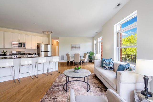 1451 S Halsted Street 3B, Chicago, IL 60607