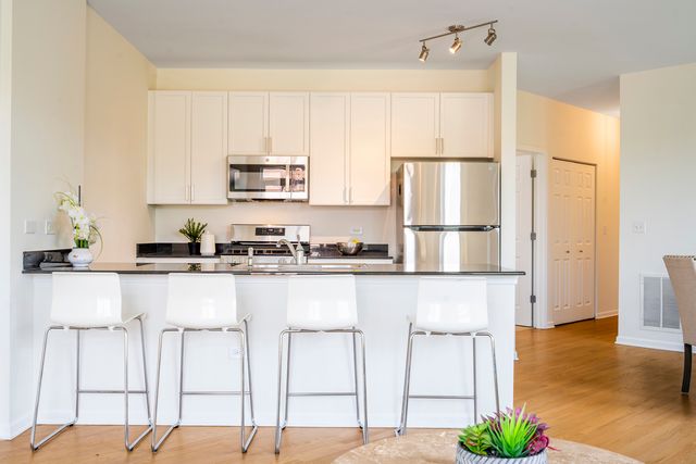 1451 S Halsted Street 3B, Chicago, IL 60607