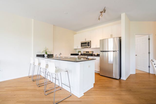 1451 S Halsted Street 3B, Chicago, IL 60607