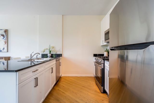 1451 S Halsted Street 3B, Chicago, IL 60607