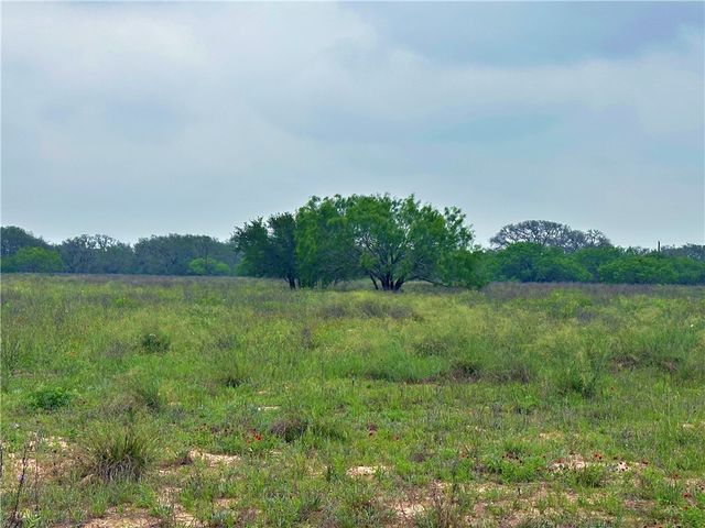 586 Jenschke Ln, Poteet, TX 78065