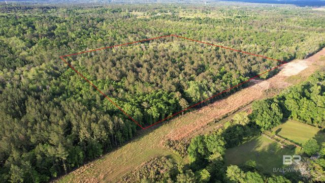 0 Pleasant Hill Road, Century, FL 32535