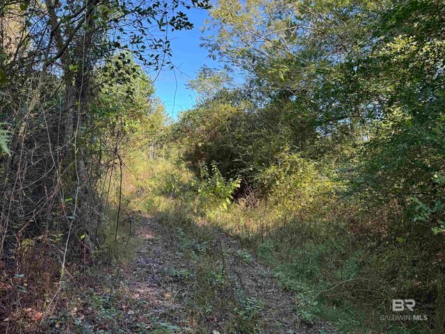 0 Pleasant Hill Road, Century, FL 32535