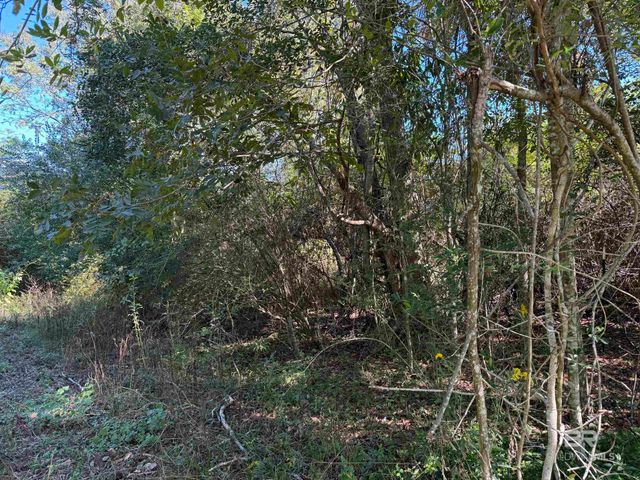 0 Pleasant Hill Road, Century, FL 32535