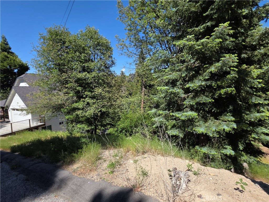 0 Shenandoah Drive, Lake Arrowhead, CA 92352