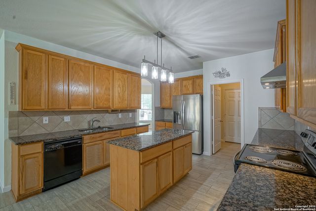 24002 BUCKTHORN PASS, San Antonio, TX 78261