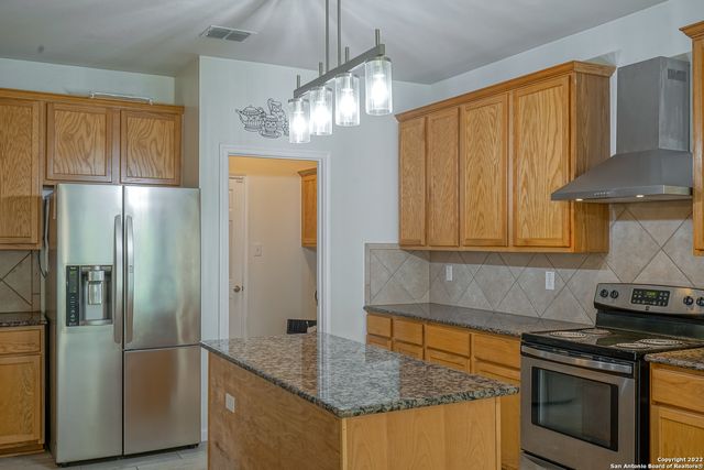 24002 BUCKTHORN PASS, San Antonio, TX 78261
