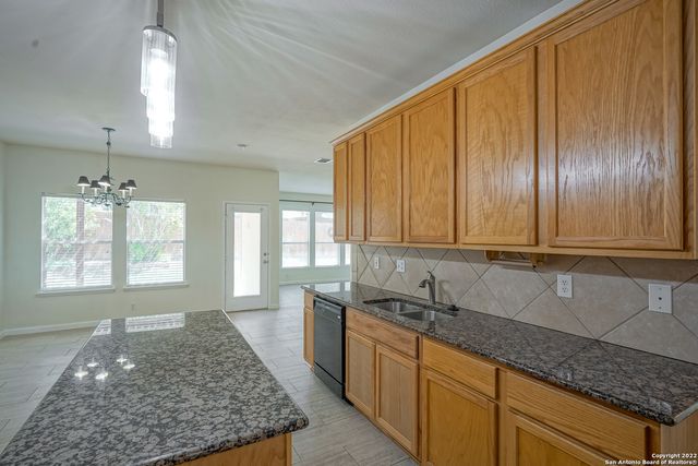 24002 BUCKTHORN PASS, San Antonio, TX 78261