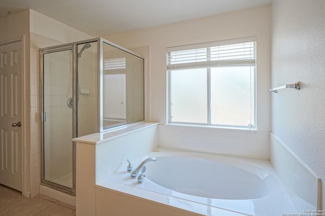 24002 BUCKTHORN PASS, San Antonio, TX 78261