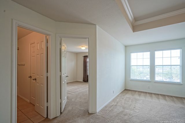 24002 BUCKTHORN PASS, San Antonio, TX 78261