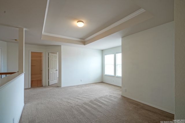 24002 BUCKTHORN PASS, San Antonio, TX 78261