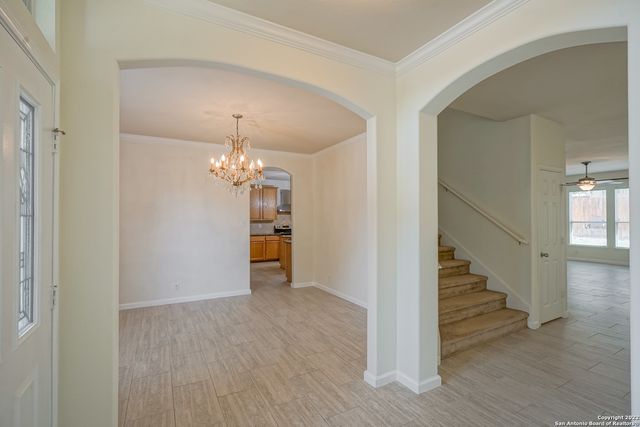 24002 BUCKTHORN PASS, San Antonio, TX 78261