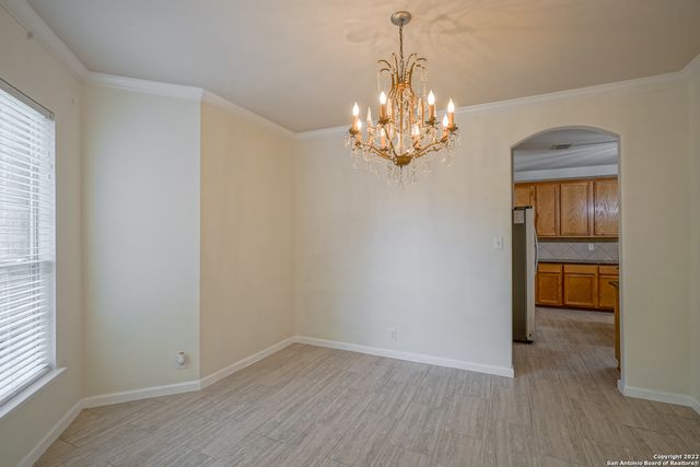 24002 BUCKTHORN PASS, San Antonio, TX 78261