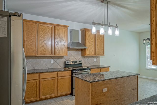 24002 BUCKTHORN PASS, San Antonio, TX 78261